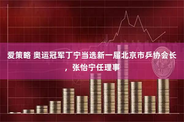 爱策略 奥运冠军丁宁当选新一届北京市乒协会长，张怡宁任理事